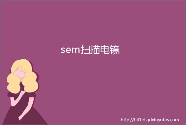 sem扫描电镜